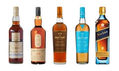 Scotch Whisky | Frootbat