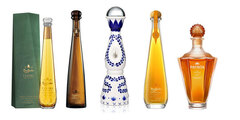 Shop Tequila | Biggest Tequila Range in US | Frootbat 