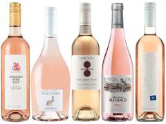 Biggest Range of Rose in United States